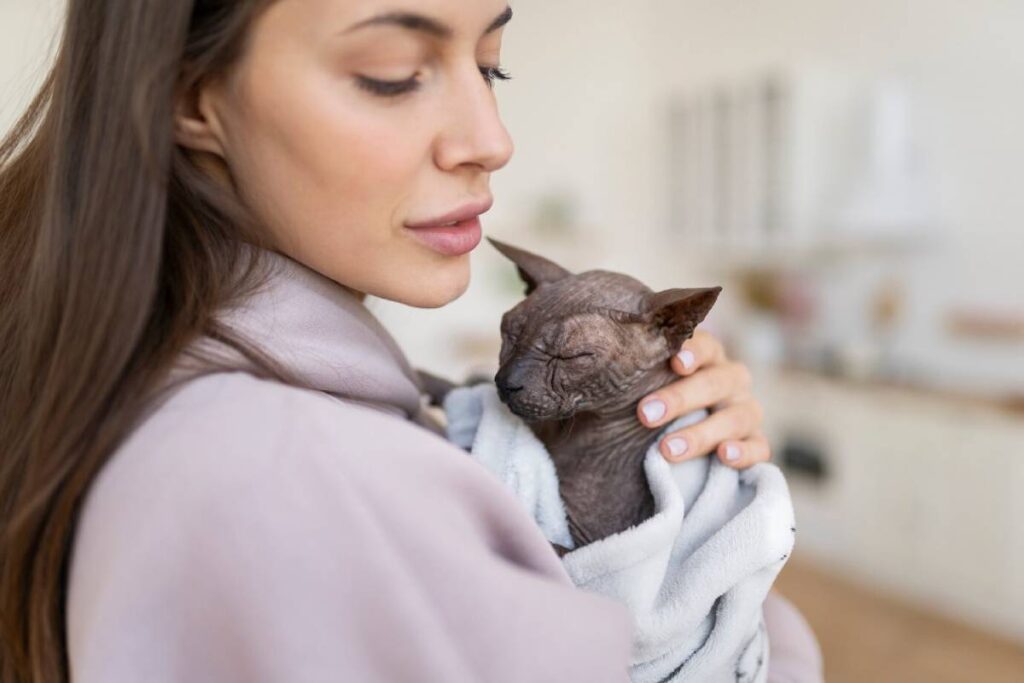 Woman holding a sleeping sphynx cat wrapped in a towel.