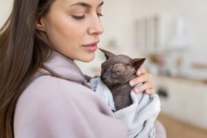 How to Safely Bathe Your Cat Without Stress