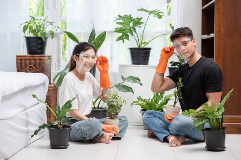 Young man and woman caring for indoor plants in a sunlit living room.