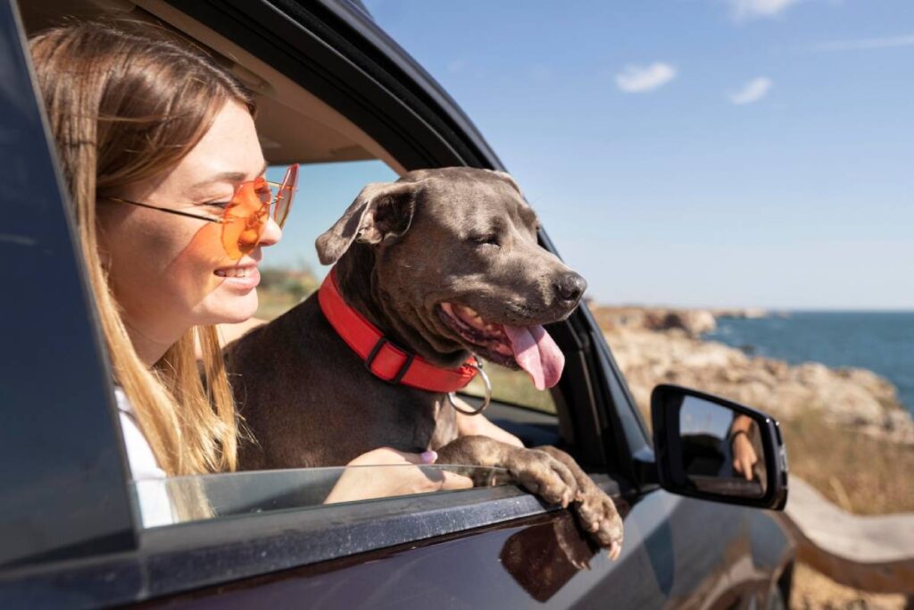 A woman and her happy dog leaning out of a car window, with a coastal view in the background.