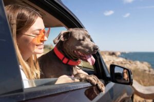 A woman and her happy dog leaning out of a car window, with a coastal view in the background.