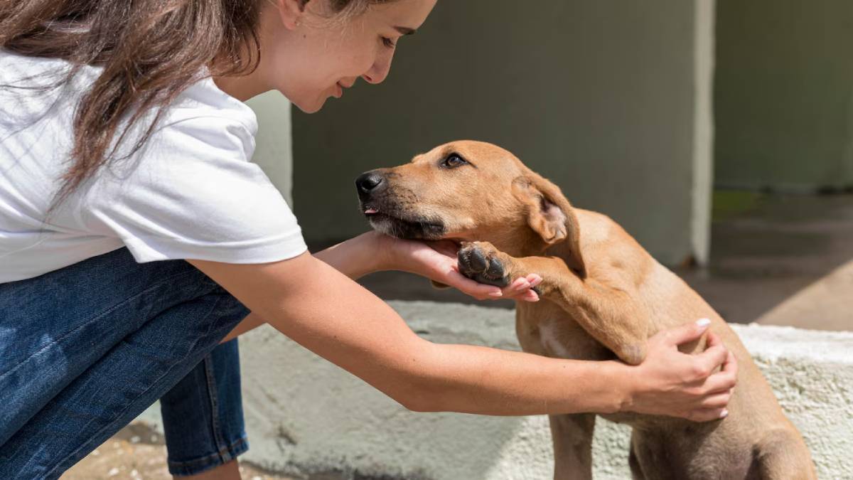 Young woman gently holding a brown puppy's head and paws, showing affection.