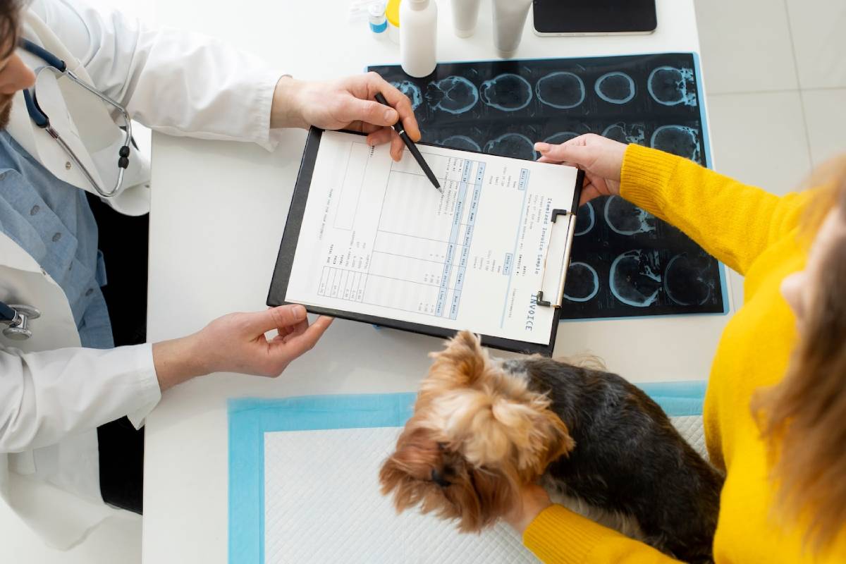 A doctor discusses medical records with a patient and a small dog at a clinic.