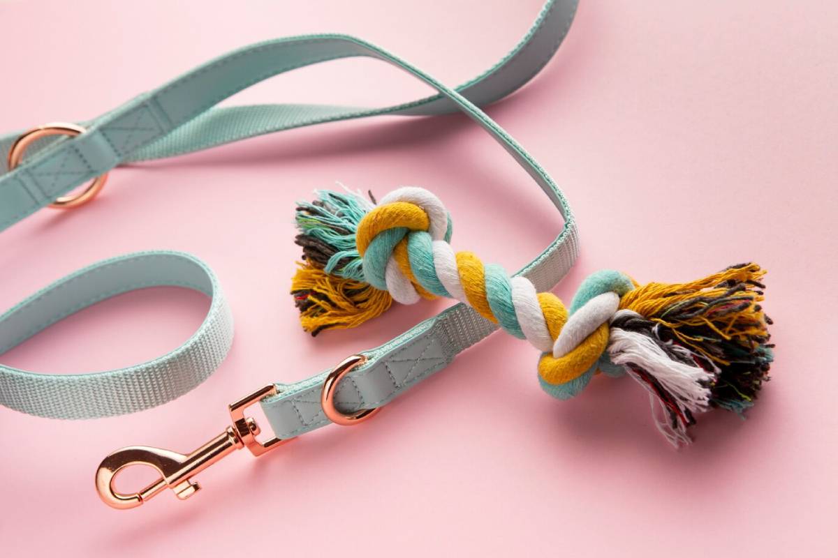 A pastel green leash with a colourful braided rope toy attached on a pink background. 