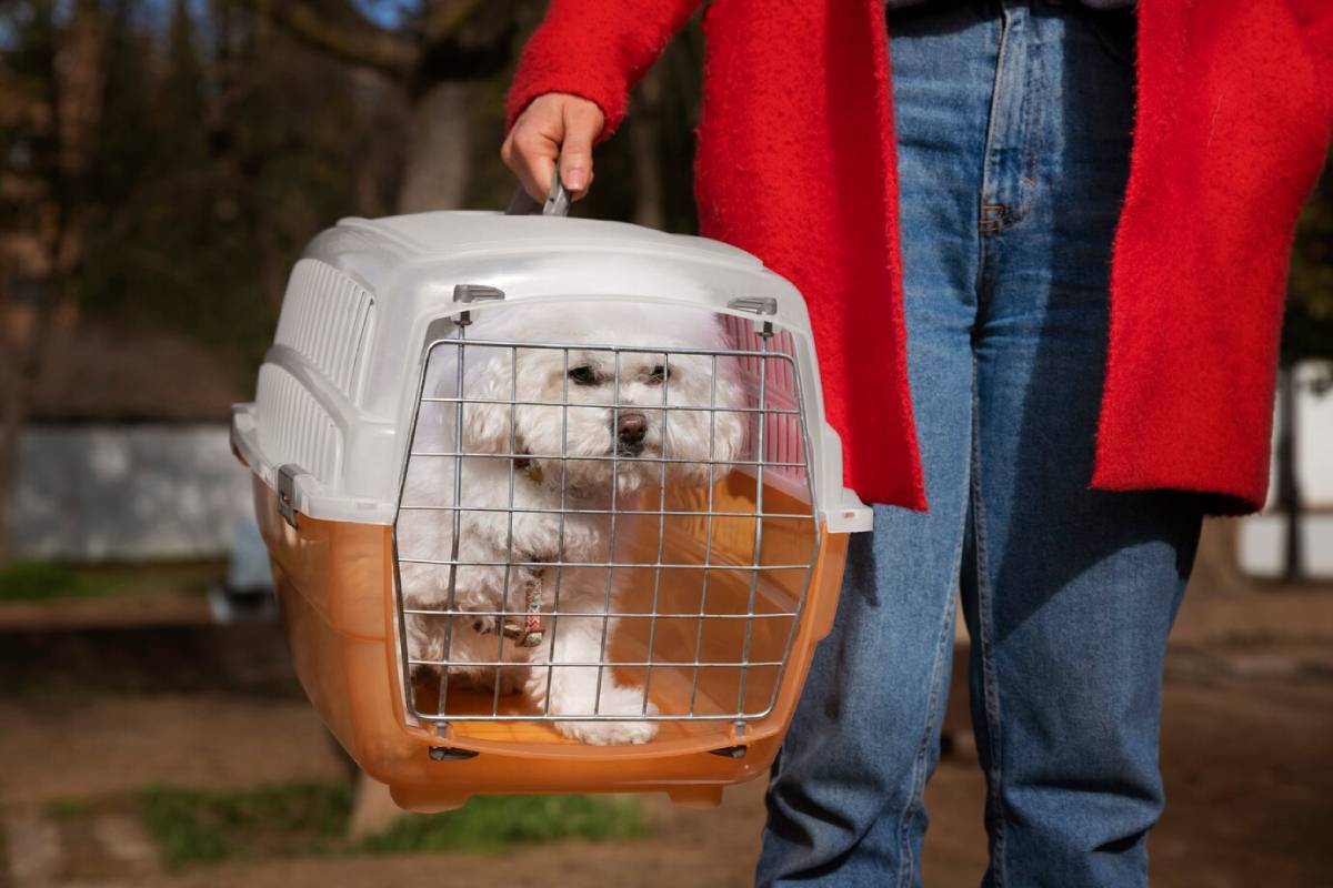 A person holding a portable pet carrier with a small white dog inside, standing outdoors.