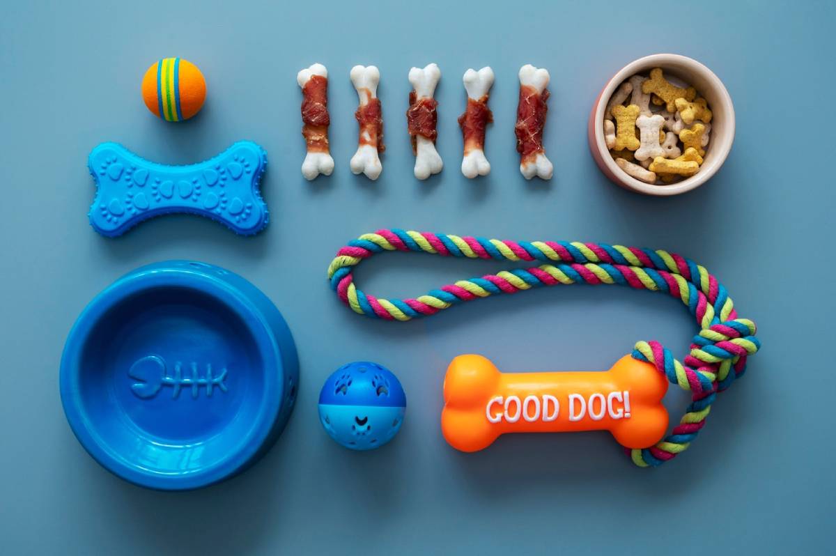 Assortment of colourful dog toys and treats arranged on a blue background.