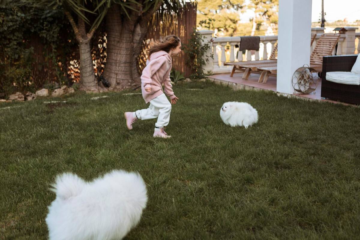 A young girl in a pink jacket running toward a fluffy white dog in a garden.