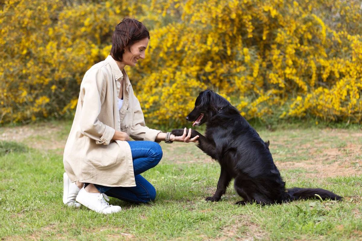 Woman in a casual outfit interacts with a black dog against a background of yellow flowers in a park. 