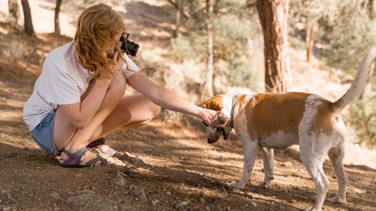 A woman crouching and photographing a dog in a forest setting.