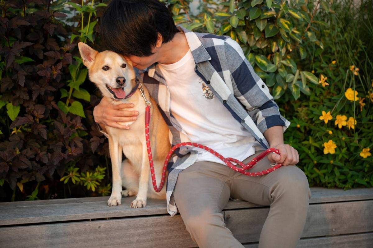  Young man affectionately embracing a happy dog on a bench amidst leafy greenery.