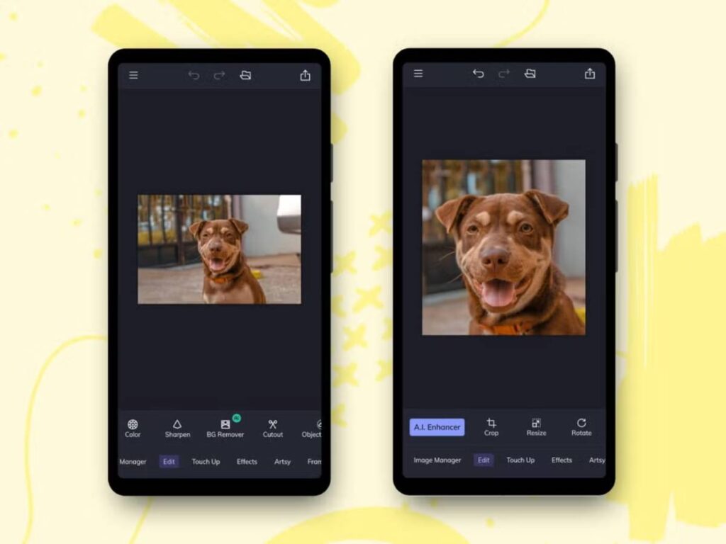 Two smartphones displaying photo editing apps with before and after images of a smiling brown dog.