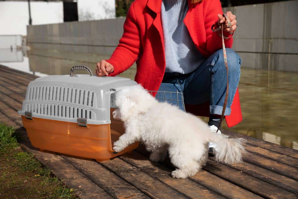 A woman in a red jacket with a small white dog and a pet carrier on a wooden deck.