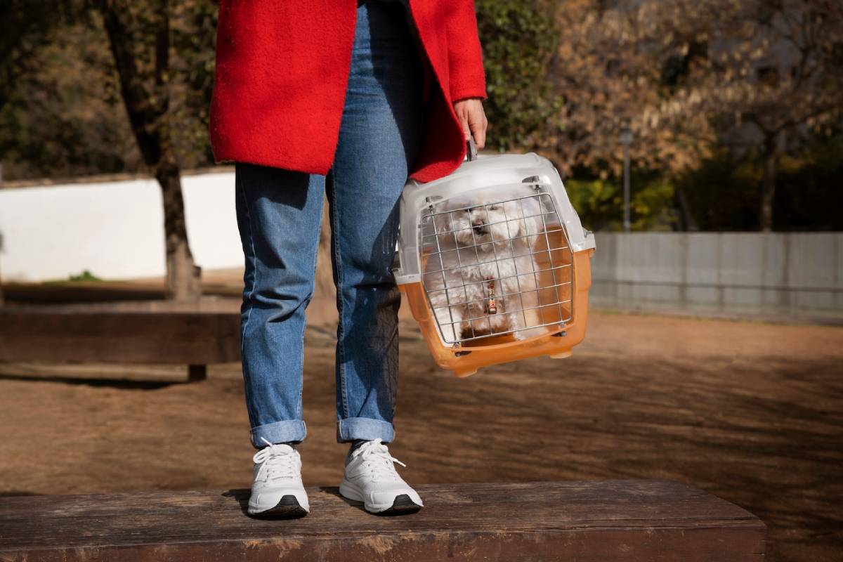 Woman in a red coat carrying a pet carrier with a small dog inside, walking outdoors.