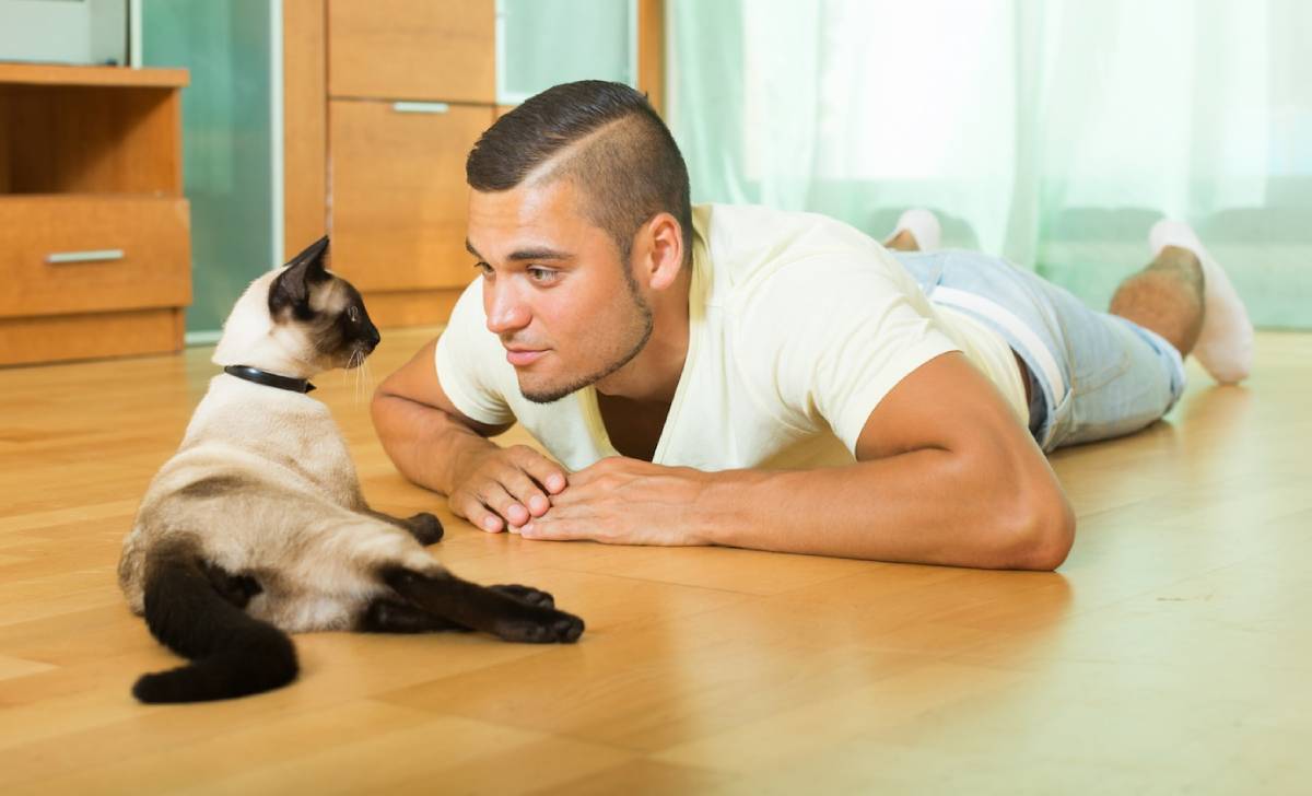 A man lying on a wooden floor face-to-face with a Siamese cat, in a brightly lit room.