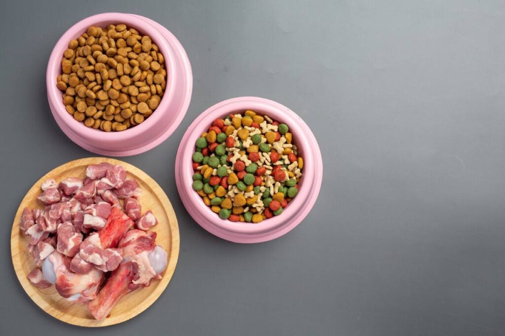 Three bowls of dog food; dry kibble, mixed shapes, and raw meat, on a grey background.