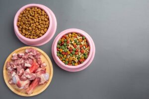 Three bowls of dog food; dry kibble, mixed shapes, and raw meat, on a grey background.