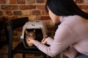 Woman comforting a tabby cat inside a carrier against a brick wall background.