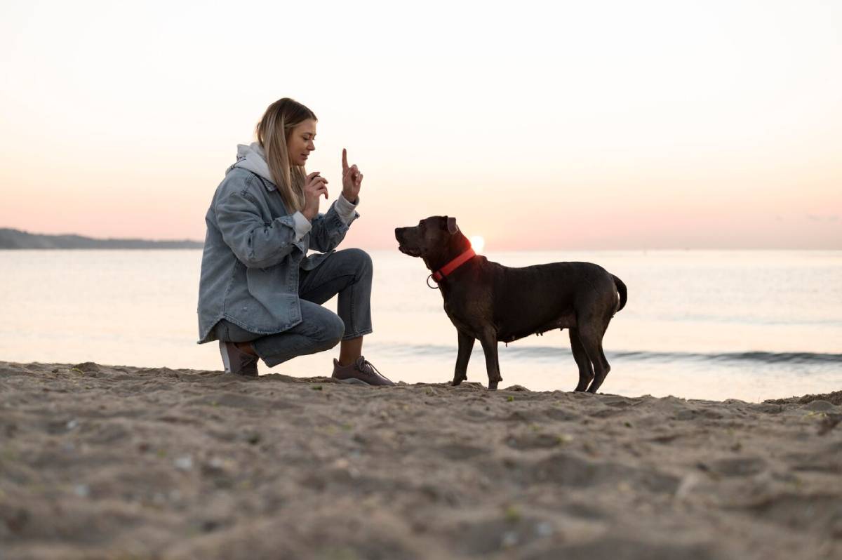A woman trains her dog on a beach at sunset.